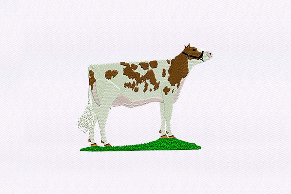 Spotted Brown Cow Design Review
